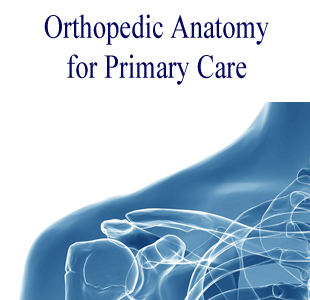ortho-anatomy